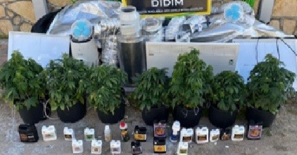 DİDİM’DE UYUŞTURUCU OPERASYONU