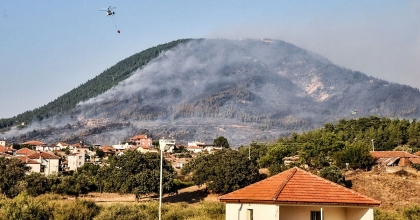 3 GÜNDE KÜL OLDU, YENİDEN ORMAN OLMASI 30 YIL SÜRECEK