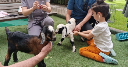 MİNİKLERE HAYVAN SEVGİSİ AŞILANIYOR 