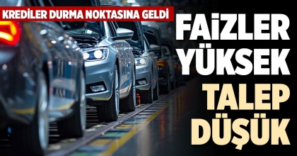 FAİZLER YÜKSEK, TALEP DÜŞÜK