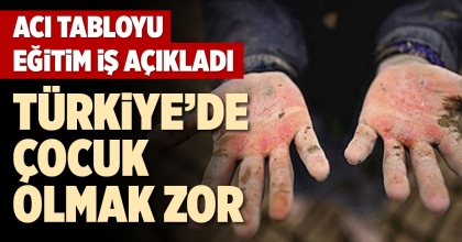 ACI TABLOYU EĞİTİM İŞ AÇIKLADI