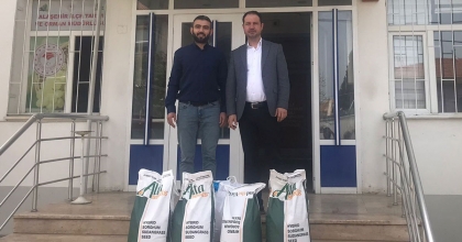 ALAŞEHİR'DE SORGUM OTU YETİŞTİRİLMEYE BAŞLANDI