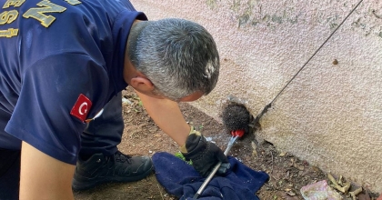 ANAOKULUNDA KİRPİ OPERASYONU