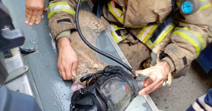 İZMİR İTFAİYESİNDEN YÜREKLERİ ISITAN KURTARMA