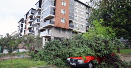 FIRTINADA DEVRİLEN AĞAÇ, ARACIN ÜSTÜNE DÜŞTÜ   
