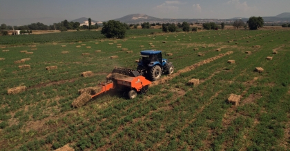 HASADI YAPILAN KABA YEMLER ÜRETİCİLERE DAĞITILDI   