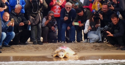 GÜZEL İZMİR İSİMLİ CARETTA SOLUĞU MISIR’DA ALDI   