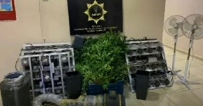 EVDE “ZEHİR” SERASI   