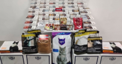 AYDIN'DA 78 BİN 250 MAKARON ELE GEÇİRİLDİ