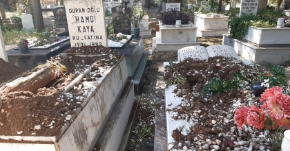 DOMUZLAR ŞİMDİ DE MEZARLARA DADANDI  