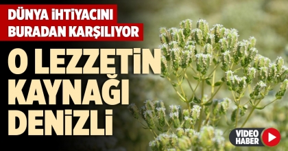 DÜNYA İHTİYACINI BURADAN KARŞILIYOR