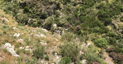 GÖCEK’TE KAYALIKLARDAN DÜŞEN KİŞİ HAYATINI KAYBETTİ 