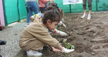 KÖYCEĞİZ’DE MİNİKLER ÇİLEK FİDELERİNİ TOPRAKLA BULUŞTURDU