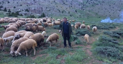 MESAİDE MÜDÜR, TATİLDE ÇOBAN  