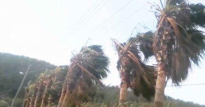 MUĞLA’YA FIRTINA UYARISI 