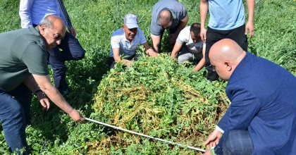 PEMBE İNCİDEN DEKARDA 6,8 TON YAŞ OT ELDE EDİLDİ 