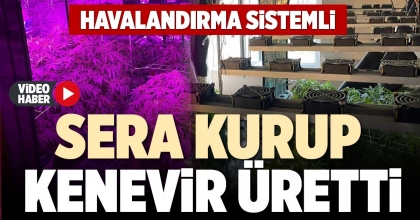 SERA KURUP KENEVİR ÜRETTİ