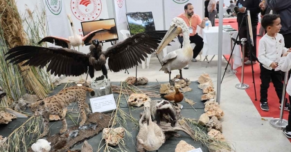 TAHNİT SERGİSİ İLE TANITILDI