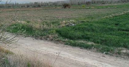 TARIM ARAZİSİNE GİREN MOTOSİKLET SÜRÜCÜSÜ AĞIR YARALANDI 