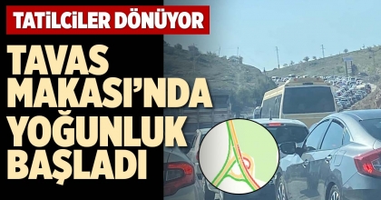 TAVAS MAKASI’NDA YOĞUNLUK BAŞLADI