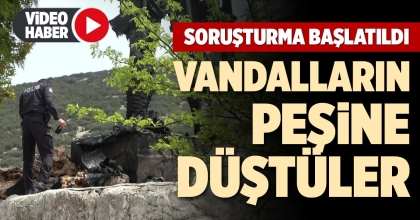 VANDALLARIN PEŞİNE DÜŞTÜLER