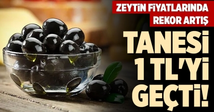 ZEYTİN FİYATLARINDA REKOR ARTIŞ