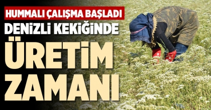 DENİZLİ KEKİĞİNDE ÜRETİM ZAMANI
