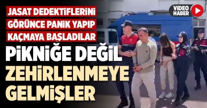 PİKNİĞE DEĞİL ZEHİRLENMEYE GELMİŞLER