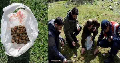 KORUMA ALTINDAKİ SALEP SOĞANLARINI SÖKEN 2 KİŞİYE 488 BİN TL CEZA