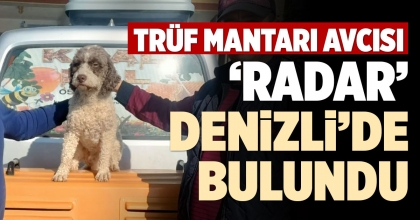 TRÜF MANTARI AVCISI 'RADAR' DENİZLİ'DE BULUNDU