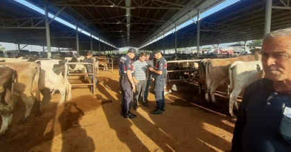  JANDARMA, HAYVAN HIRSIZLARINA DİKKAT ÇEKTİ  