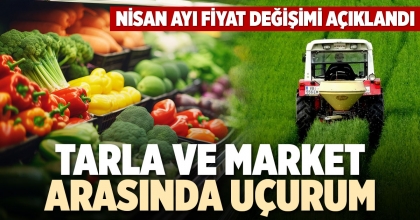 TARLA VE MARKET ARASINDA UÇURUM