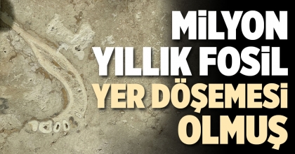 MİLYON YILLIK FOSİL YER DÖŞEMESİ OLMUŞ