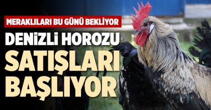 DENİZLİ HOROZU SATIŞLARI BAŞLIYOR