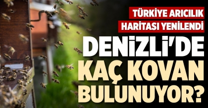 DENİZLİ'DE KAÇ KOVAN BULUNUYOR?