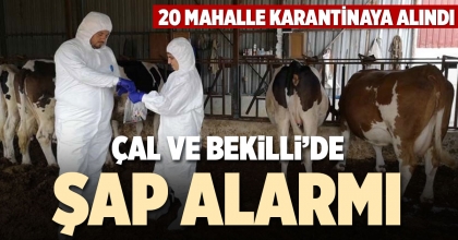 ÇAL VE BEKİLLİ DE ŞAP ALARMI