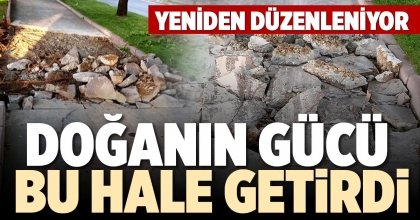 DOĞANIN GÜCÜ BU HALE GETİRDİ