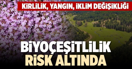 BİYOÇEŞİTLİLİK RİSK ALTINDA