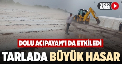 TARLADA BÜYÜK HASAR