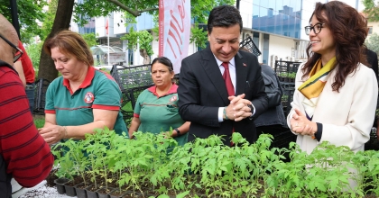 20 BİN FİDAN ÜCRETSİZ DAĞITILDI  