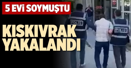 5 EVİ SOYMUŞTU KISKIVRAK YAKALANDI