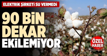 90 BİN DEKAR EKİLEMİYOR
