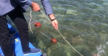 AKDENİZ’İN SUYU BU YIL 23. KEZ EGE DENİZİ İLE BULUŞUYOR  