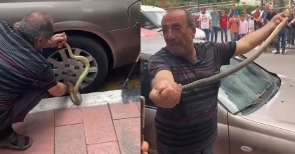 ARABADAKİ YILANI KORKUSUZCA ÇIKARDI