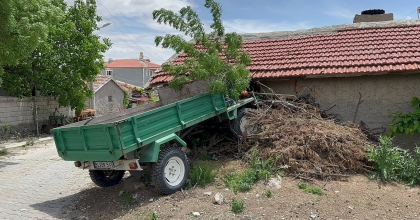 KONTROLDEN ÇIKAN PATPAT EVİN OTURMA ODASINDAN İÇERİ GİRDİ  