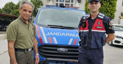 YARALI PORSUĞU JANDARMA EKİPLERİ KURTARDI