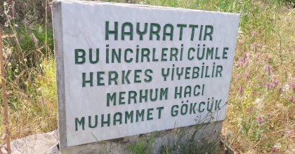 İNCİR BAHÇESİNDEKİ YAZI GÖRENLERİN İÇİNİ ISITTI  