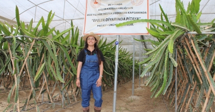 PLAZA HAYATINI BIRAKTI HUZURU TARIMDA BULDU   