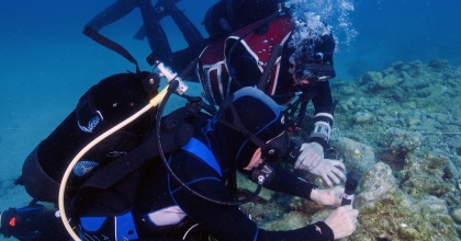 İKLİM DEĞİŞİKLİĞİ, DENİZLERDEKİ BİYOÇEŞİTLİLİĞİ KARADAN DAHA ÇOK ETKİLEDİ  