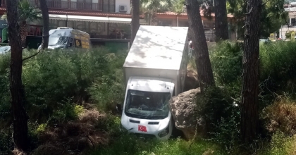 YÜK İNDİRMEK İÇİN DURAN KAMYONET ORMANLIK ALANA KAYDI  